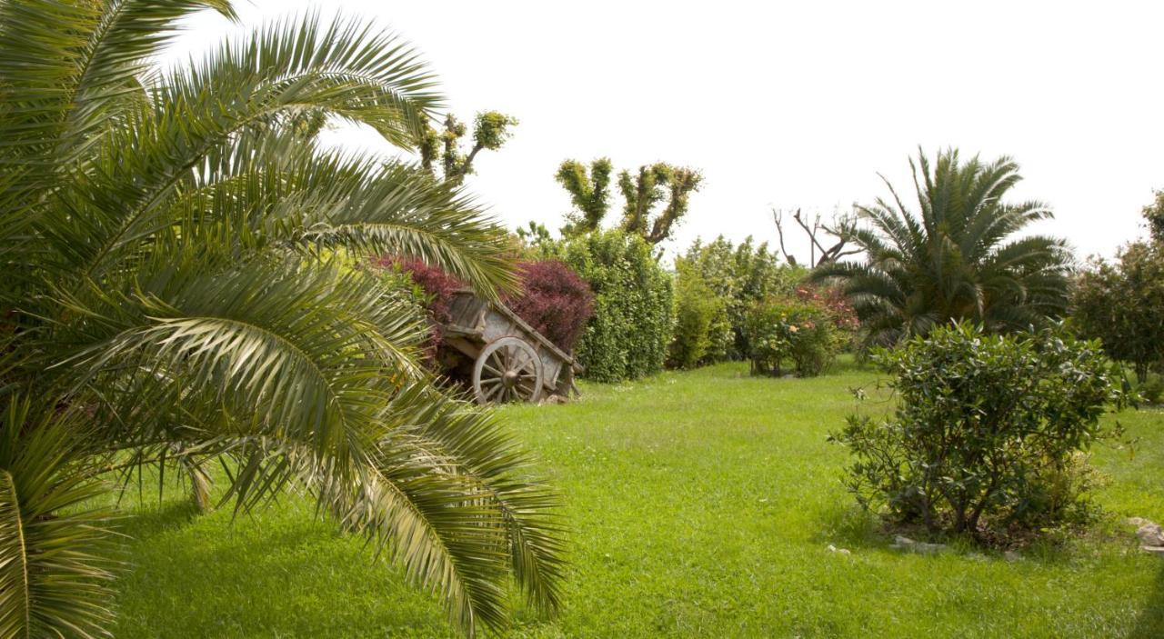 Il Girasole Country House Camerano Exterior photo